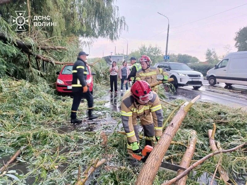 Фото: ДСНС Волині.