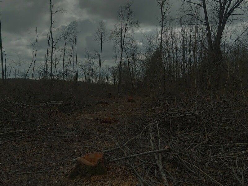 Відкрито кримінальне провадження.