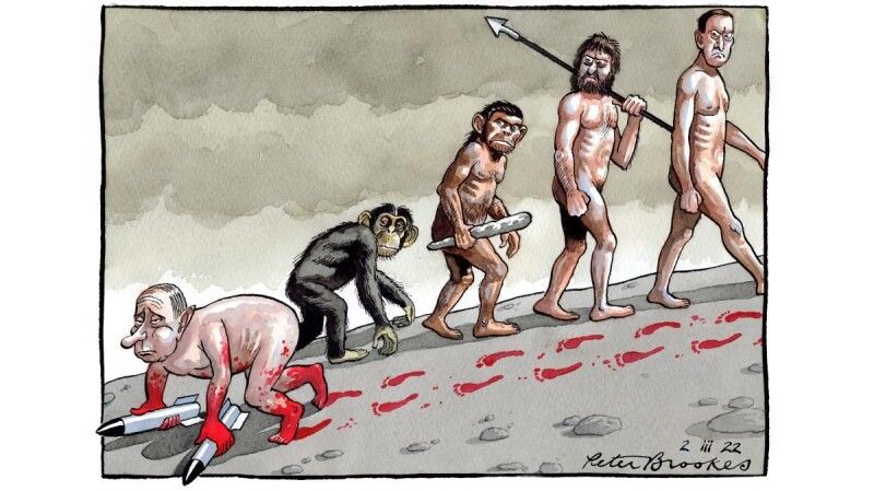 Карикатура Пітера БРУКСА, thetimes.co.uk.