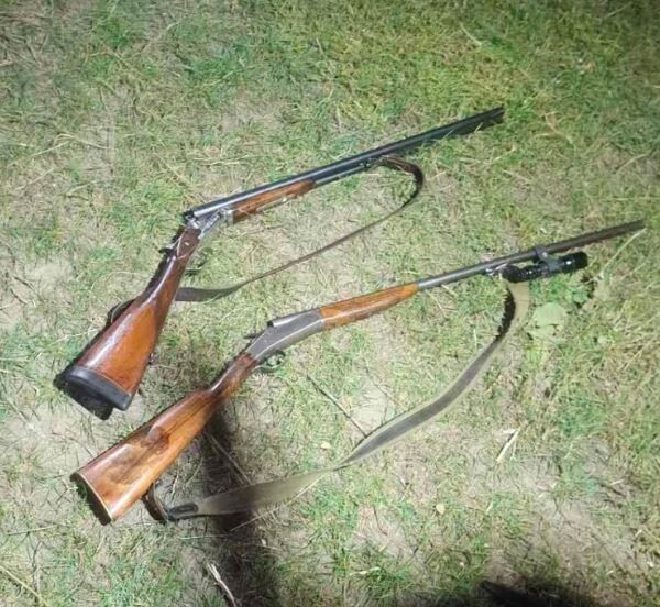 Фото: філія «Поліський лісовий офіс».