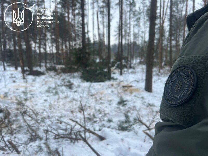 За цим фактом відкрито кримінальне провадження. Фото: voln.dei.gov.ua.