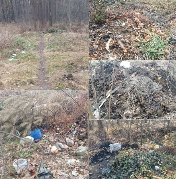 Фото: Маневицька селищна рада.