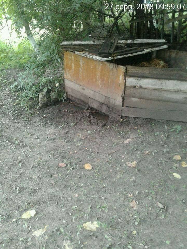 Інспектори виявили купу гною, з якої гноївка витікає в річку Сапалаївку. 