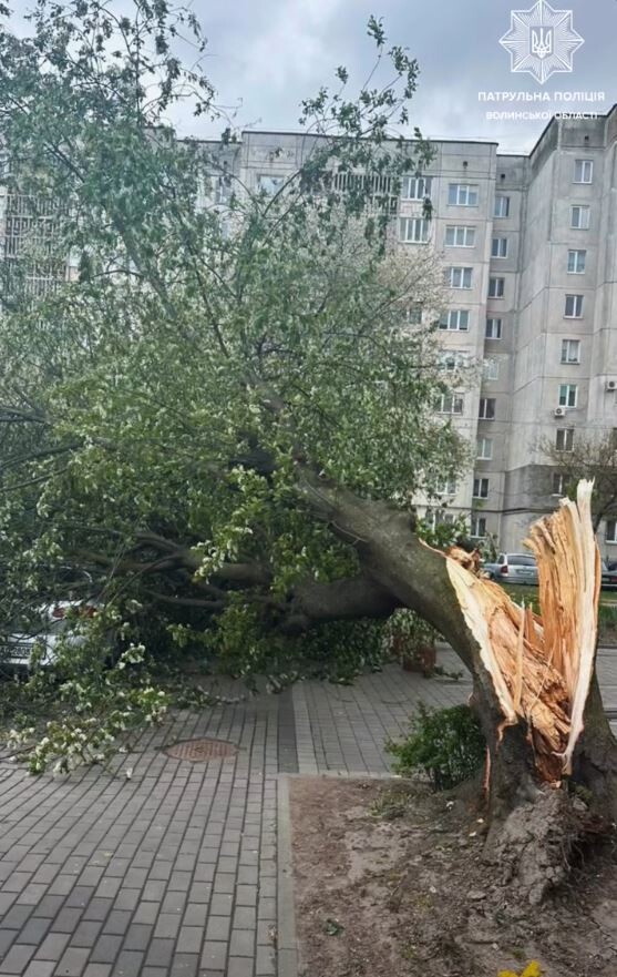 Фото: Патрульна поліція Волині.