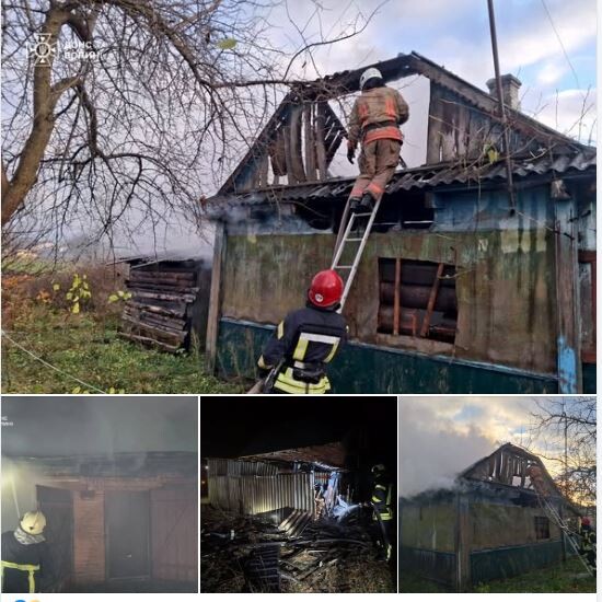 Фото: ДСНС Волині.