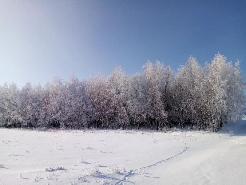 Зимові Пустомити.