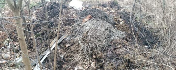 Фото: Маневицька селищна рада.