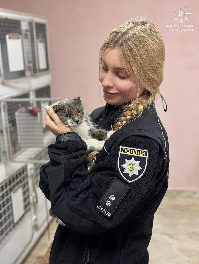 Фото: Патрульна поліція Волині.
