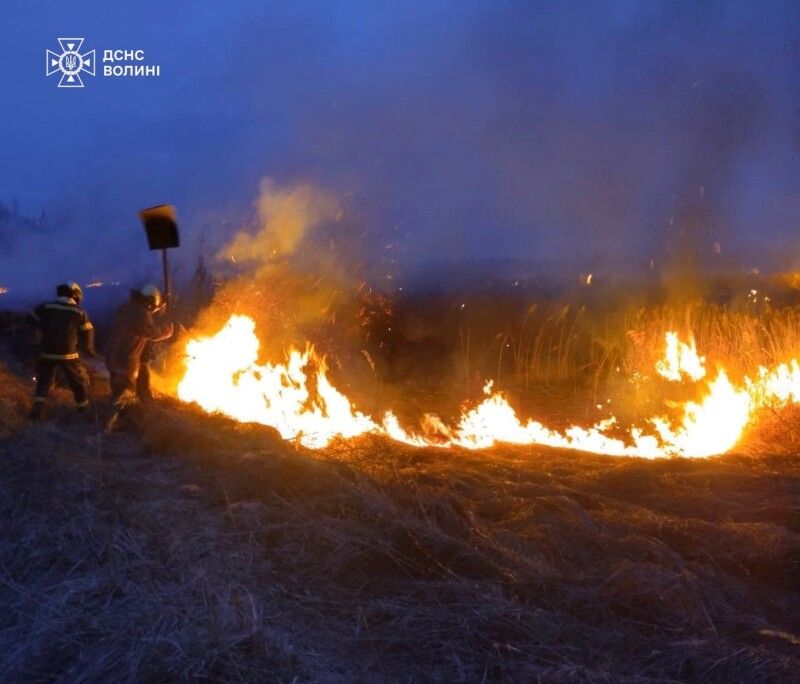 Фото: ДСНС Волині.
