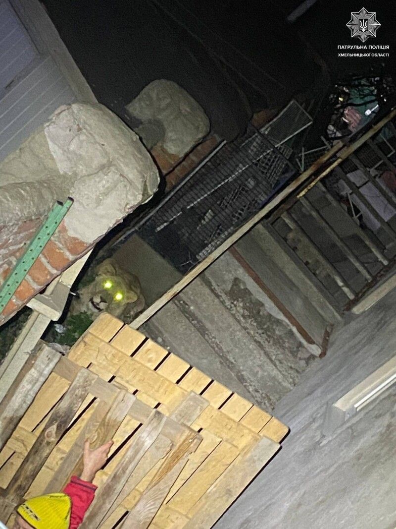 Фото: Патрульна поліція Хмельниччини.