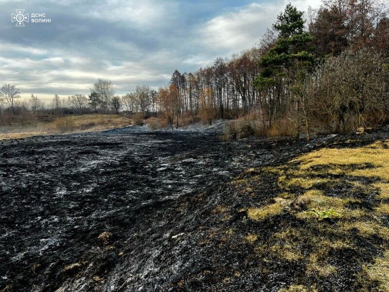 Фото – ДСНС Волині.