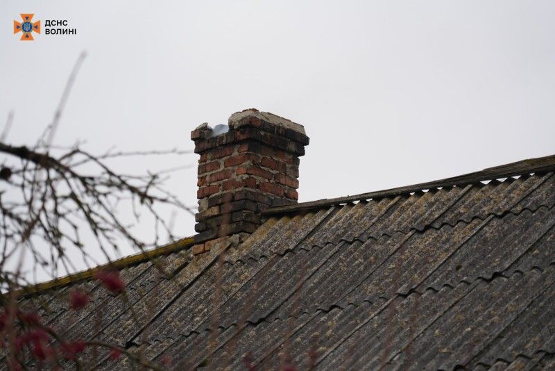 Фото: ДСНС Волині.