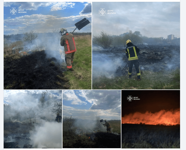 Фото: ДСНС Волині.