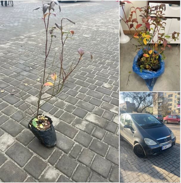 Давайте разом зробимо добру справу! Фото: фейсбук-сторінка Віри ШКВАРЦКОП.