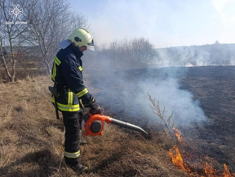 Фото: ДСНС Волині.