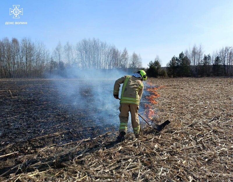 Фото: ДСНС Волині.