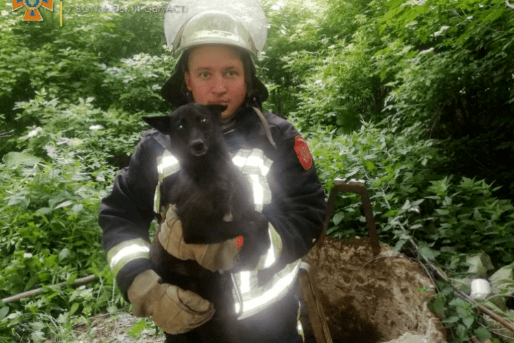 Пожежний рятувальник Андрій Кухарук із своїм новим симпатичним врятованим пухнастим другом.