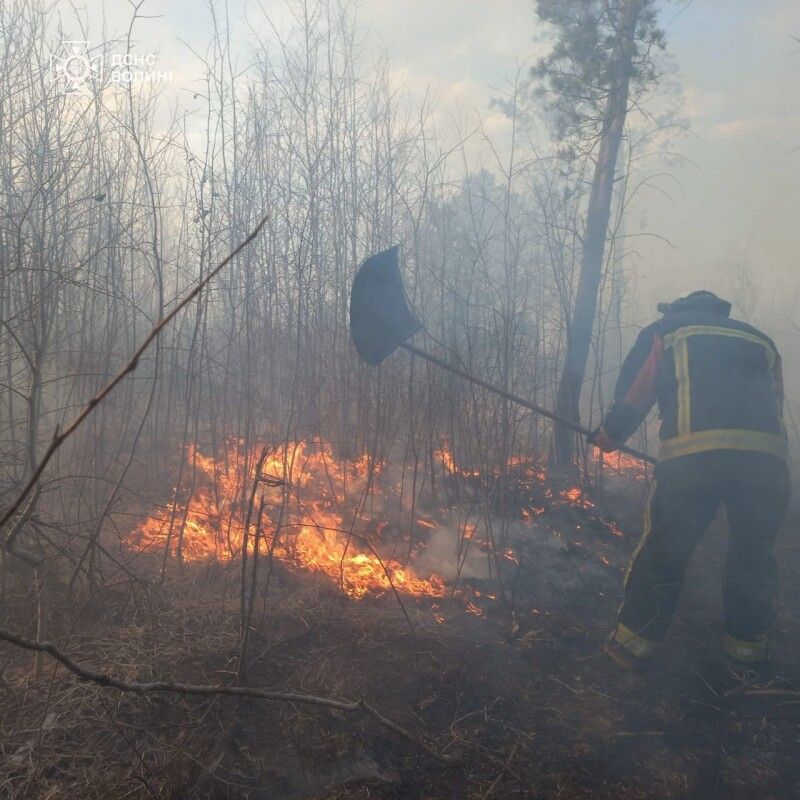 Фото: ДСНС Волині.