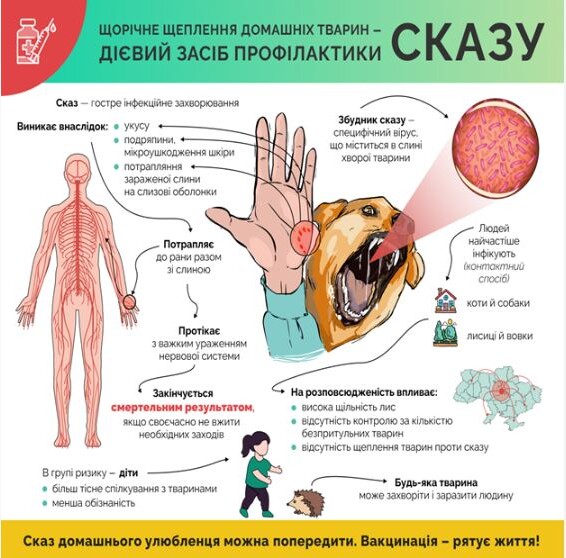 Сказ можна попередити! Інфографіка: moz.gov.ua.