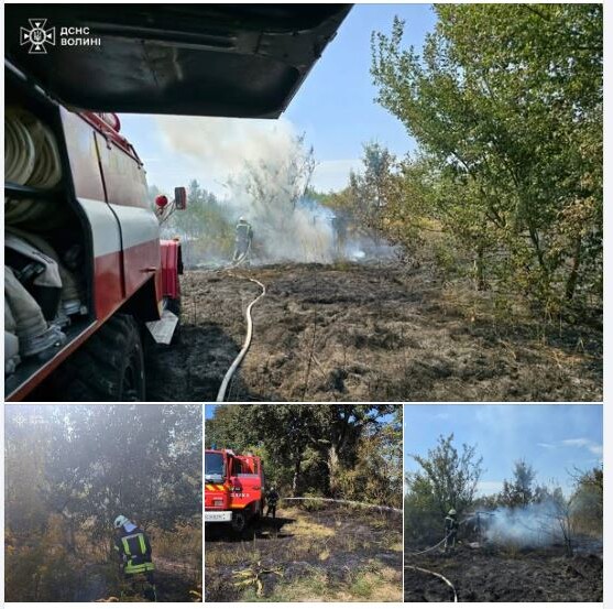 Фото: ДСНС Волині.