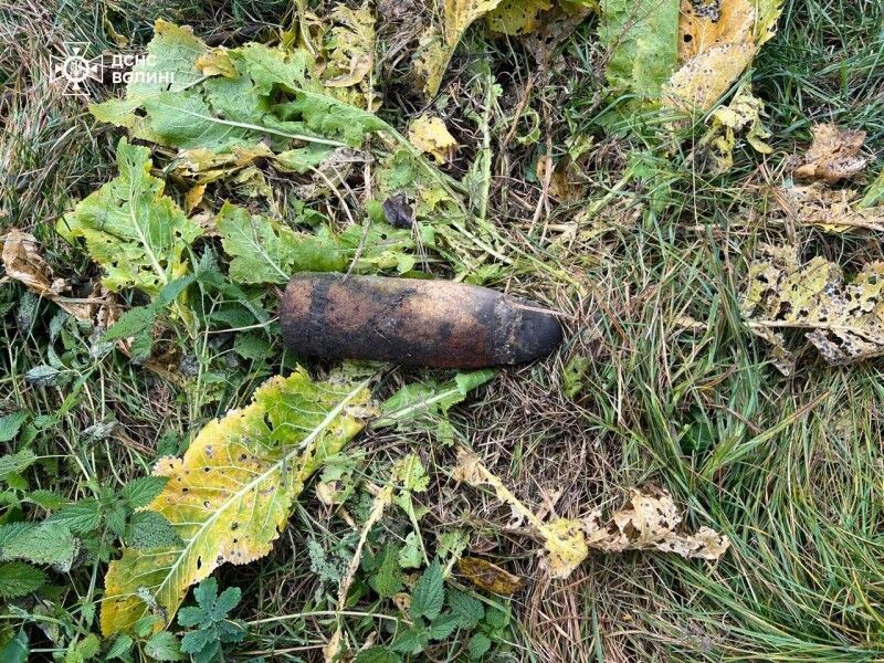 Фото – ДСНС Волині.