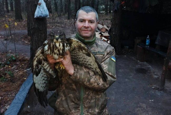 «Зоопульсівці» припустили, що знайдений травмований птах – сокіл.