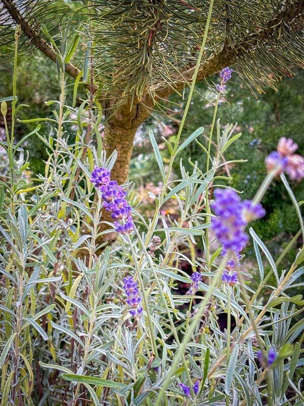 Фото: pravoslaviavolyni.org.ua.