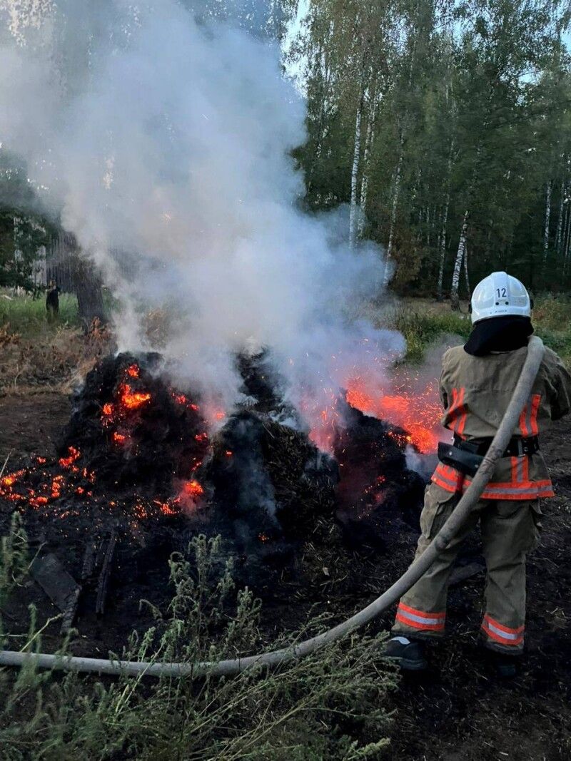 Займання трапилися через необережність громадян з вогнем. Фото: ДСНС Волині.