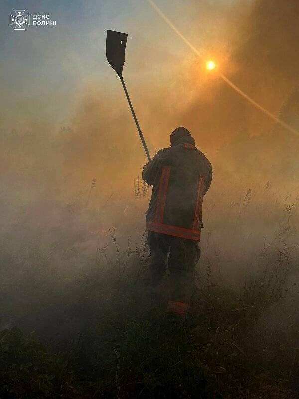 Це наслідки спалювання сухої трави.