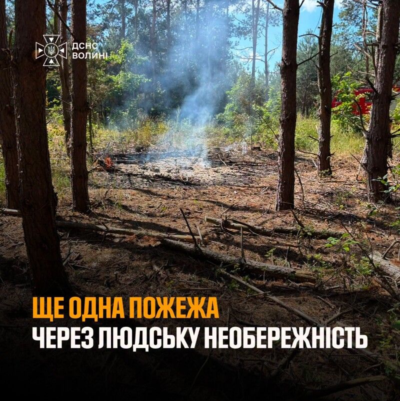 «Спалювання сухої рослинності – це не спосіб навести лад, а ризик для людей, природи та майна!» Фото: ДСНС Волині.
