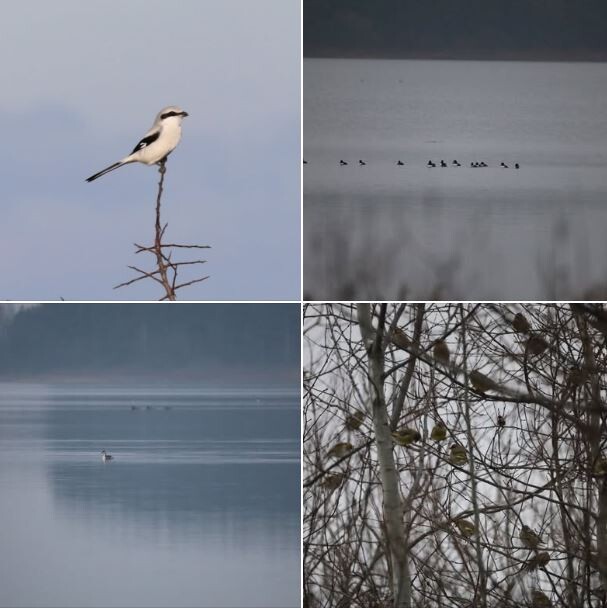 Фото: pripyat-stohid.org.ua.