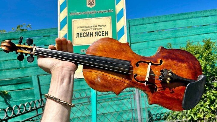 Скрипка з Лесиного ясена.