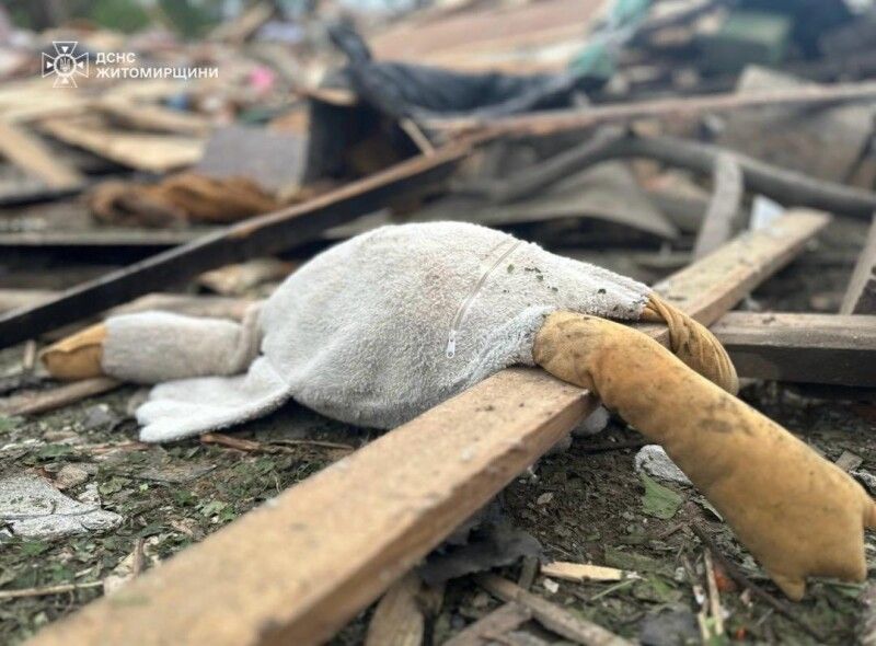 А в цій оселі мирно спали дітки...