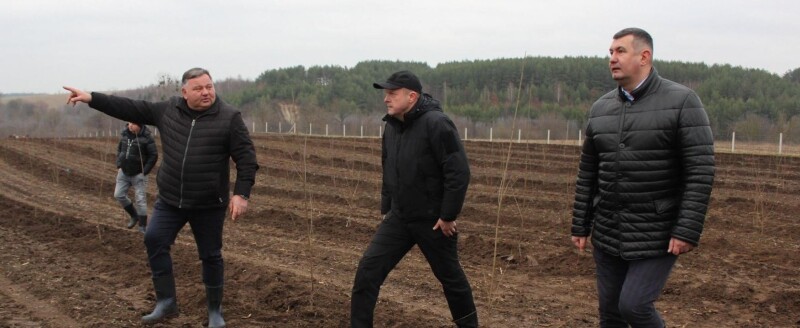 «Один рядок вишневих саджанців простягається на 1300 метрів», – розповідає Тарас Щерблюк (ліворуч) голові Волинської ОВА Івану Рудницькому (у центрі) і голові обласної ради Григорію Недопаду.