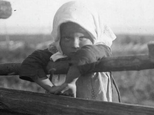 Фото з часів, коли дерева  були високими-високими….