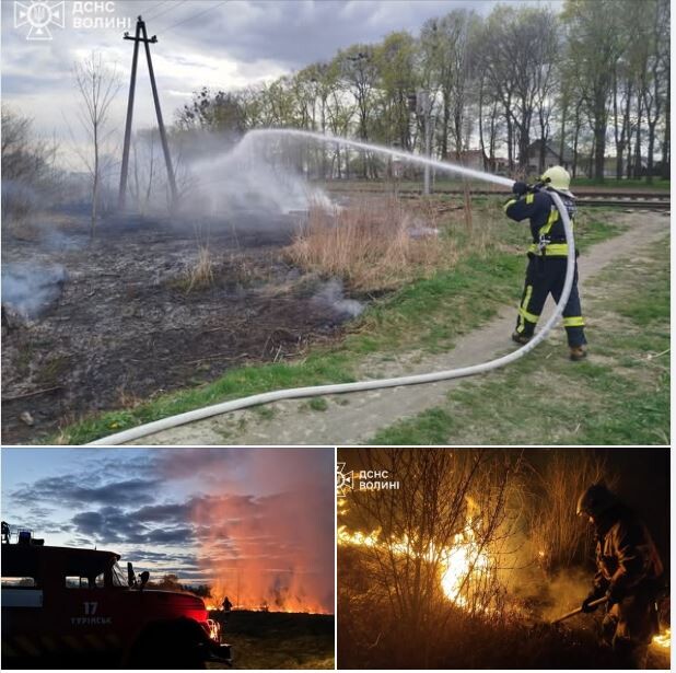 Фото: ДСНС Волині.