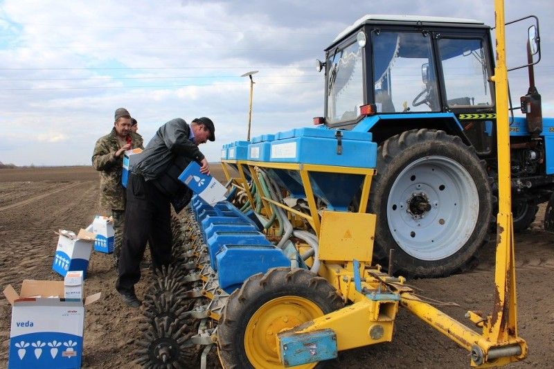 Микола Романюк засипає насіння у бункери.