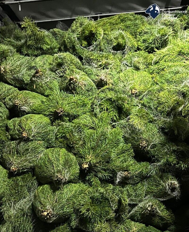 Фото: Поліцейські офіцери громади у Волинській області.