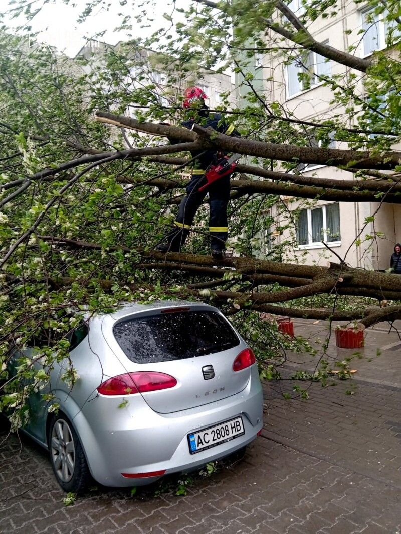 У Луцьку на вулиці Конякіна надзвичайники розкряжували дерево, яке впало на автомобіль. Фото: ДСНС Волині.
