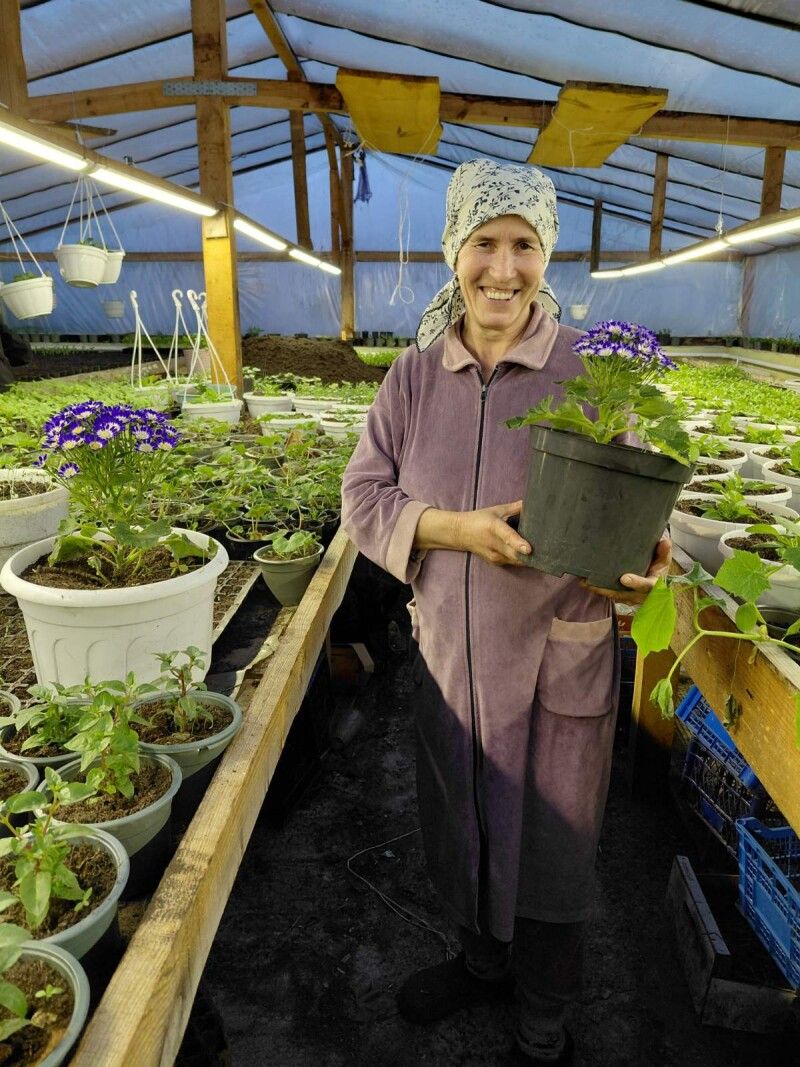 Тетяна Мартинюк: «Перш я вирощувала квіти тільки для свого городу, а тепер вирішила трохи заробити. Бо ж пенсія –  три тисячі».