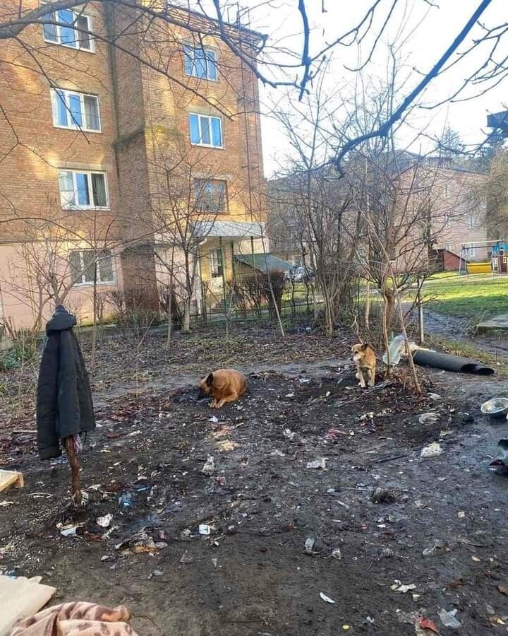 ... а стало так. Фото із сайту rivnepost.rv.ua.