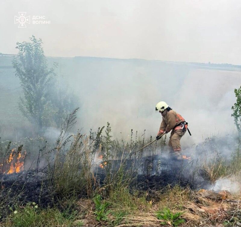 Фото: ДСНС Волині.