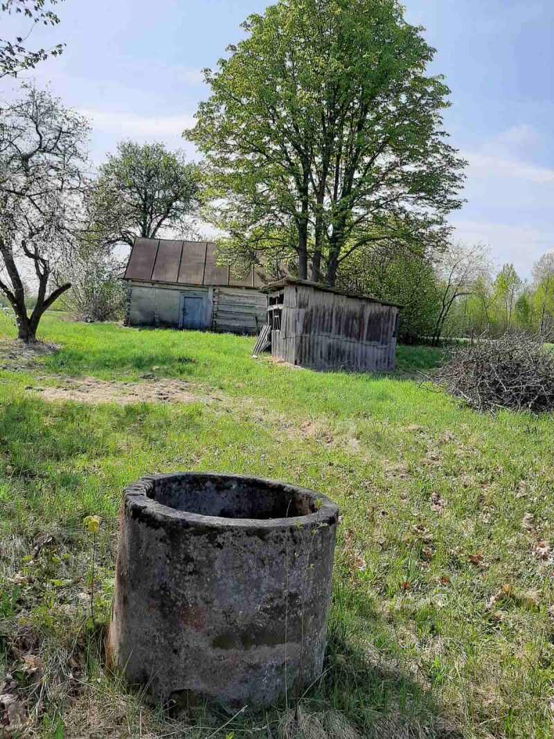 Водичкою з цієї криниці ще й зараз можна втамувати спрагу. 
