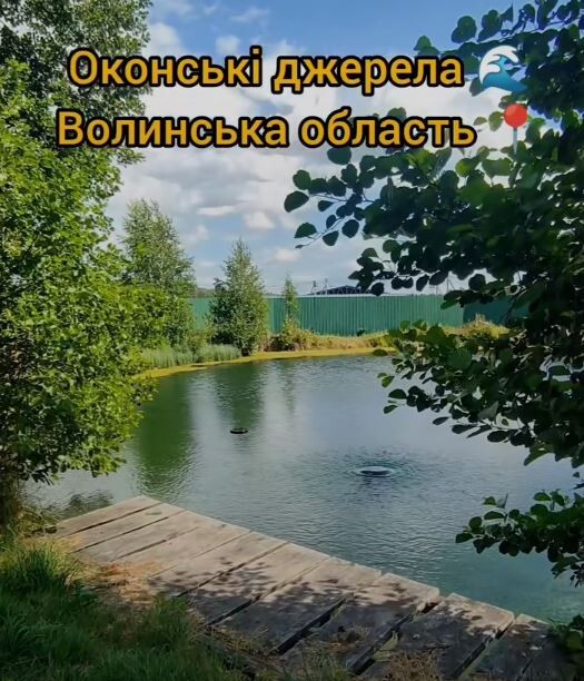 Фотоскрін з відео Наталі ОКСЕНЮК.