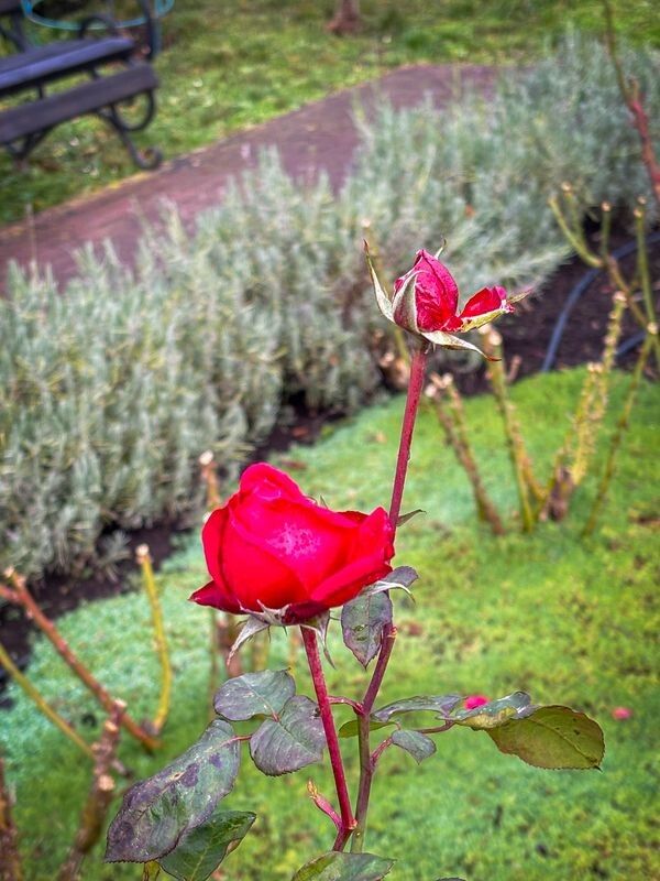 Фото: pravoslaviavolyni.org.ua.