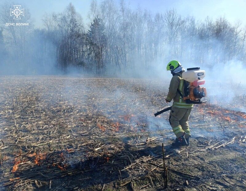 Фото: ДСНС Волині.