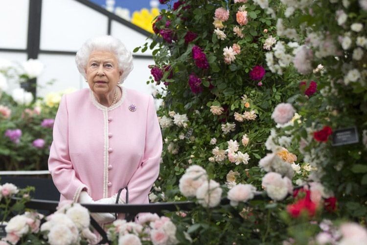 Єлизавета ІІ не пропускала виставки квітів та садів Chelsea Flower Show, влаштовувала садові вечірки та підтримувала розвиток садівництва у Британії.