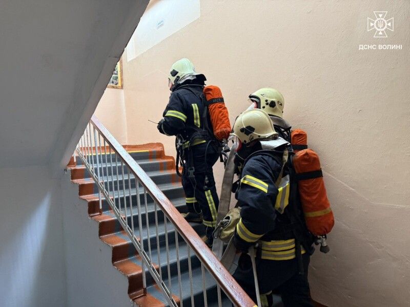 Фото: ДСНС Волині.