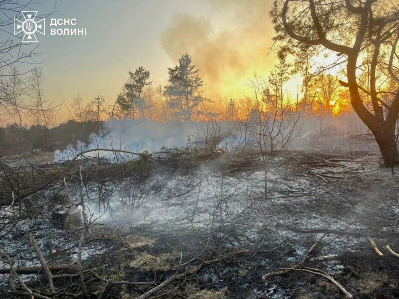 Фото: ДСНС Волині.