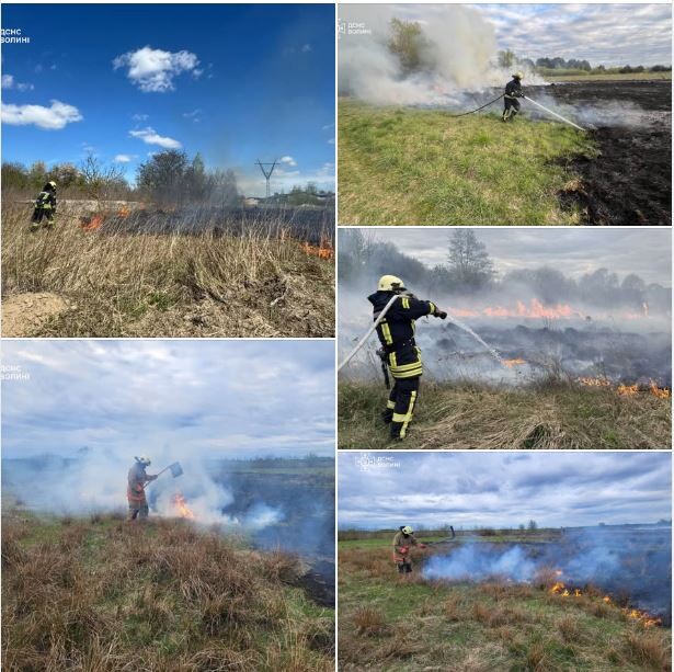 Фото: ДСНС Волині.